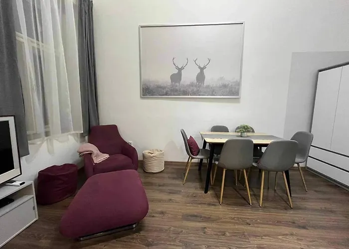 Gallery Szondi *