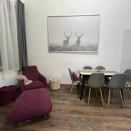 Gallery Szondi *
