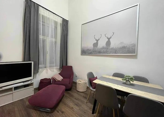 Apartament Gallery Szondi *
