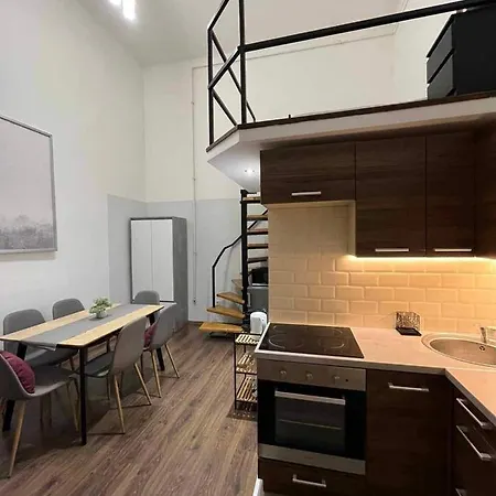 Apartment Gallery Szondi *