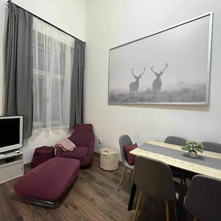 Apartment Gallery Szondi *